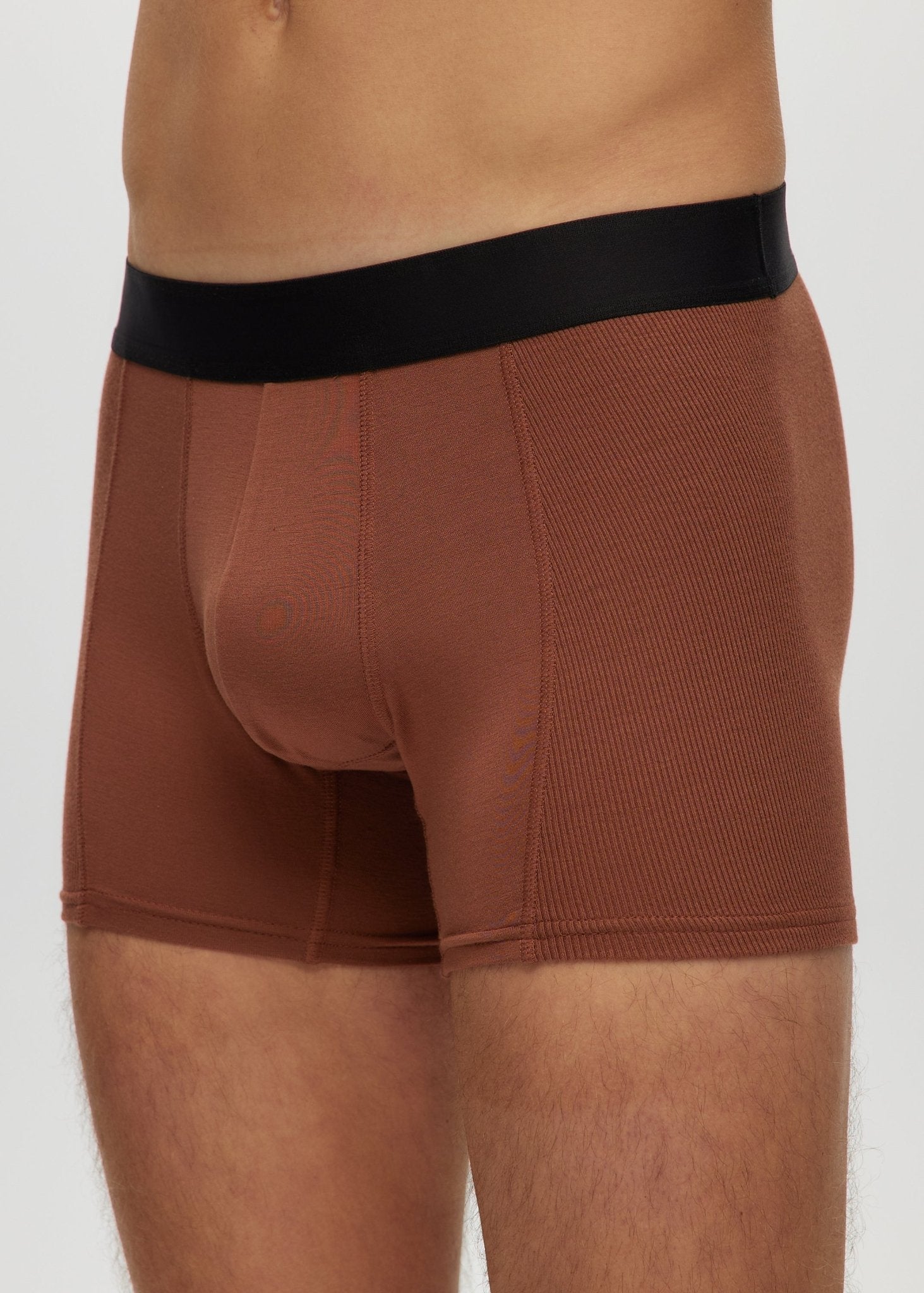 Mens 4" Boxer Briefs